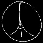 Paris, nous sommes unis!